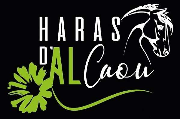 Le Haras d'AlCaou